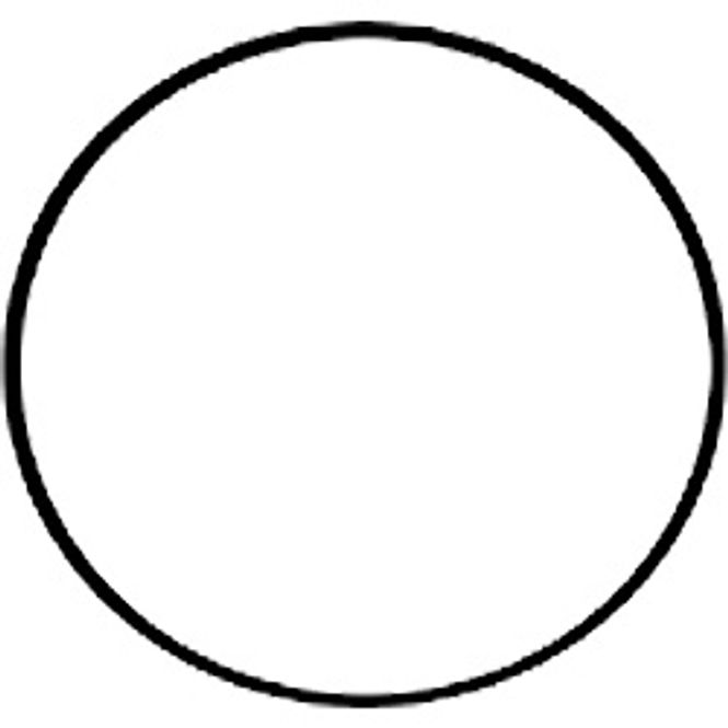 Hovedbilde O-ring, (37045/ 37245, 37010)