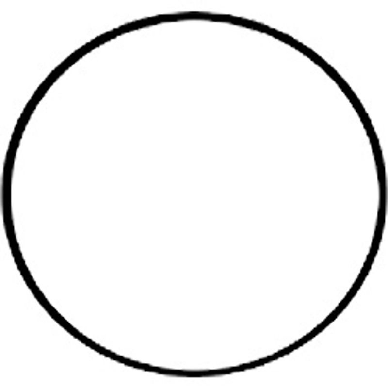 O-ring, (37045/ 37245, 37010)