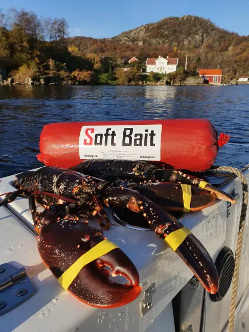 Hovedbilde Agn Soft Bait