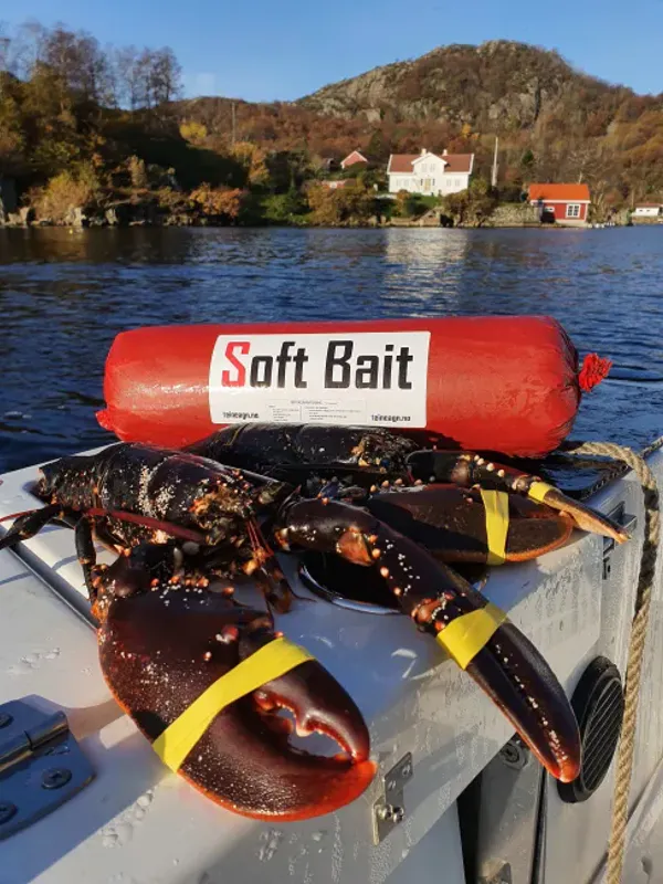 Agn Soft Bait